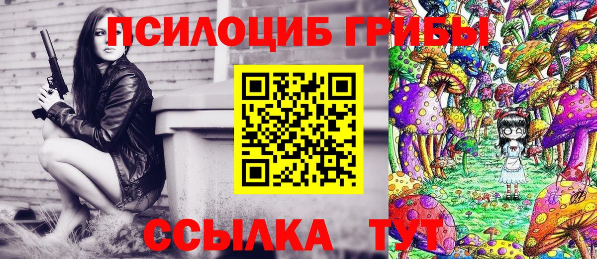 Псилоцибиновые грибы GOLDEN TEACHER Россия